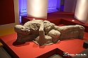 VBS_8979 - Mostra Invito a Pompei